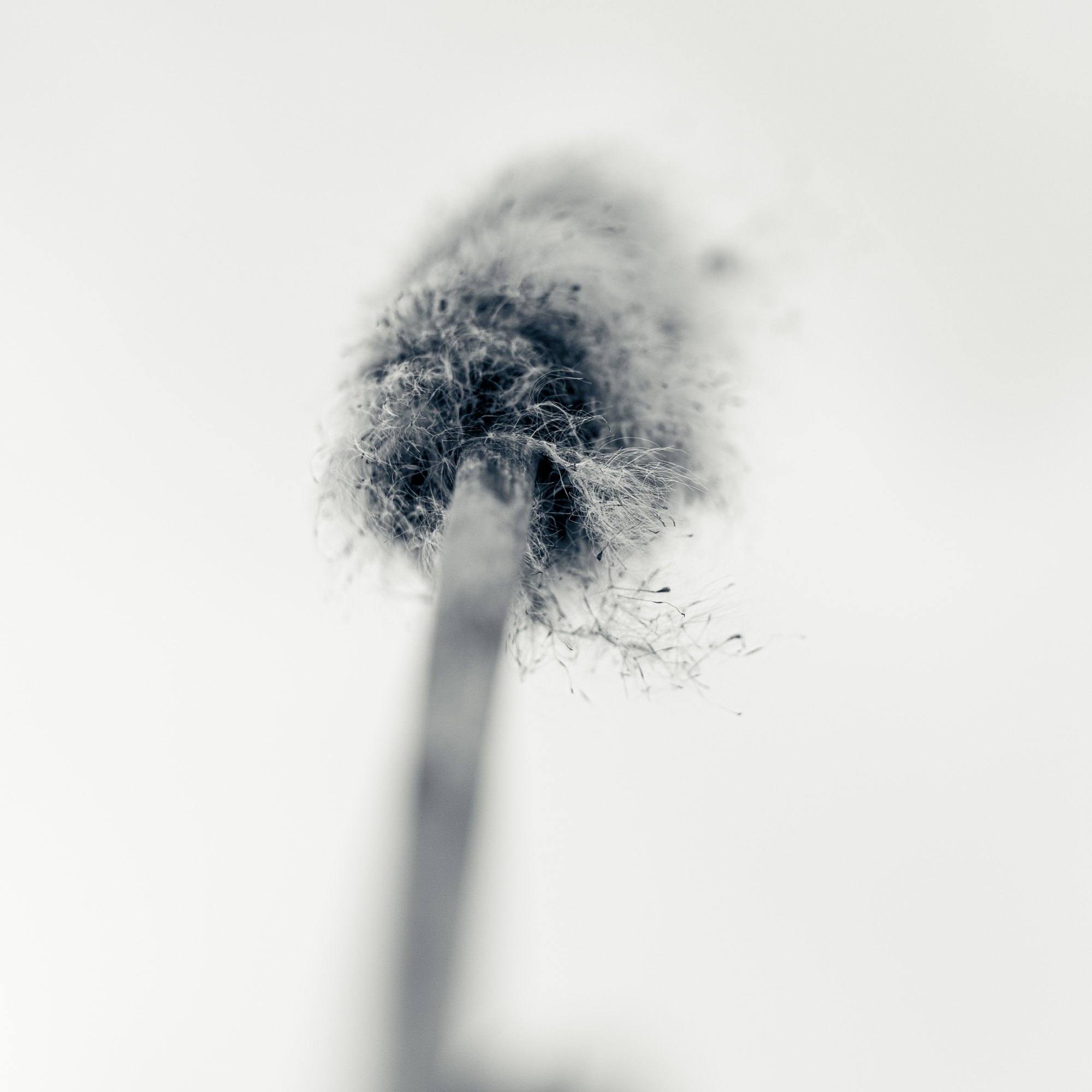 2023 03 18  xt 5   2964